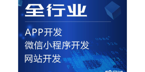 济南高速软件开发